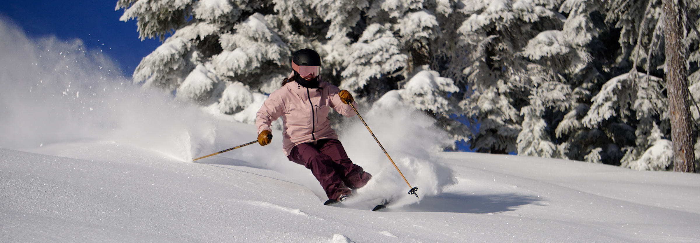 Skiing & Boarding